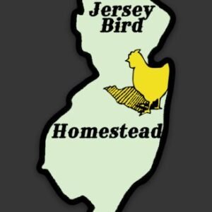 Jersey Bird Magnet