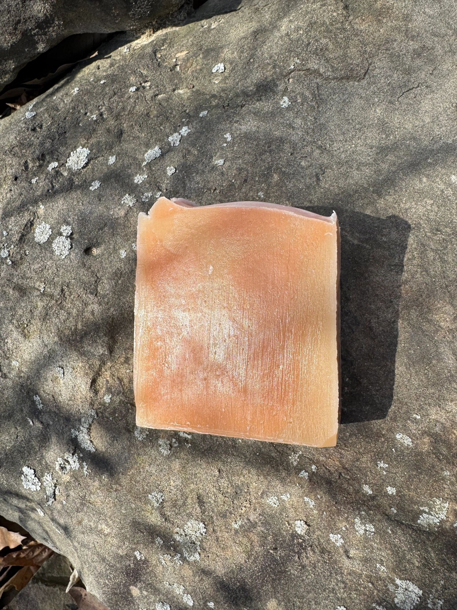 Citrus Peel - Image 4