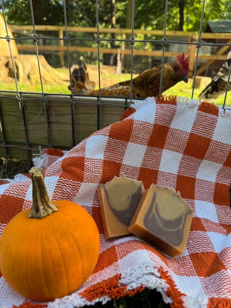 Pumpkin Sandalwood tallow soap bars on an orange gingham blanket next to a small pumpkin, with chickens in the background
